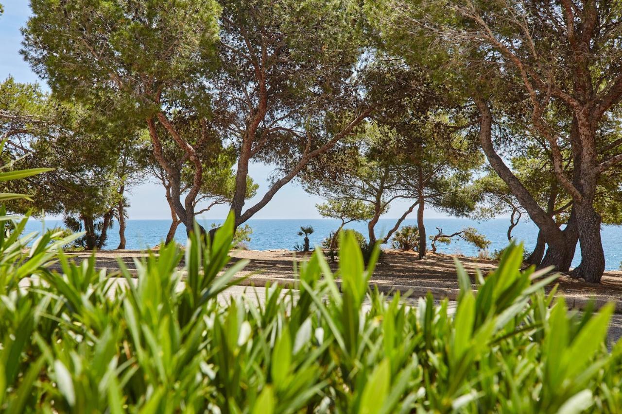 Rincon De Mar Daire Calafat Dış mekan fotoğraf