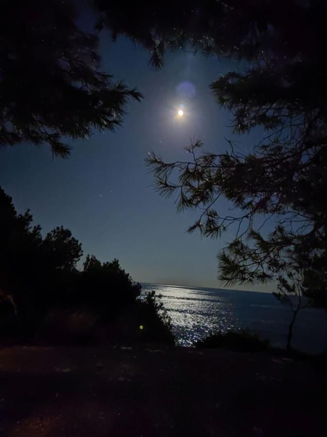 Rincon De Mar Daire Calafat Dış mekan fotoğraf