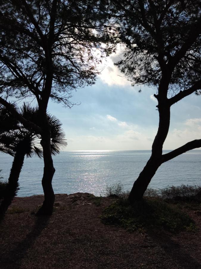 Rincon De Mar Daire Calafat Dış mekan fotoğraf