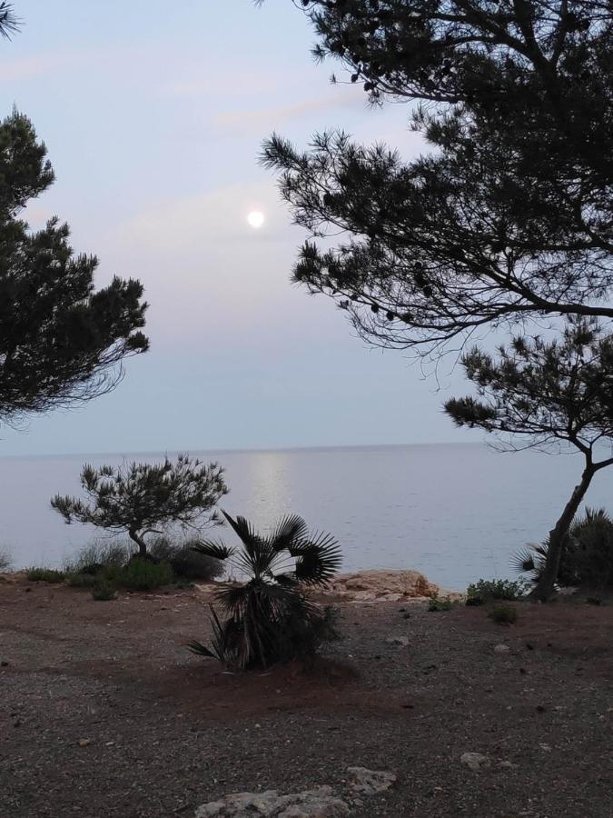 Rincon De Mar Daire Calafat Dış mekan fotoğraf