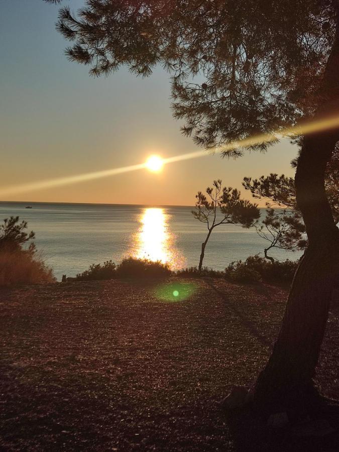 Rincon De Mar Daire Calafat Dış mekan fotoğraf